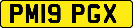 PM19PGX