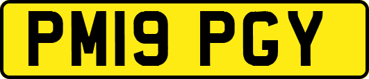 PM19PGY