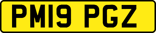 PM19PGZ