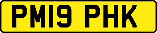 PM19PHK