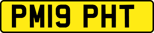 PM19PHT