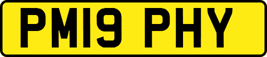 PM19PHY