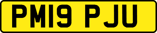 PM19PJU