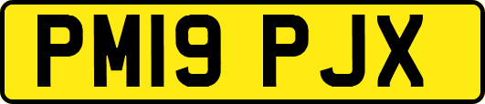 PM19PJX