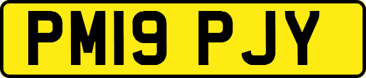 PM19PJY