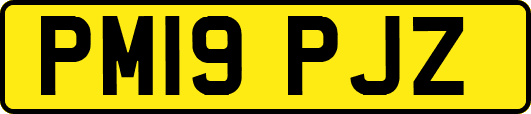 PM19PJZ