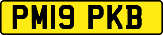 PM19PKB