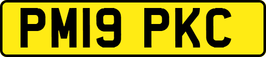 PM19PKC