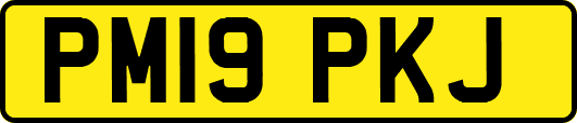 PM19PKJ