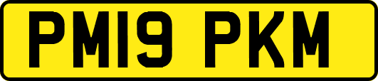 PM19PKM