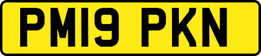 PM19PKN