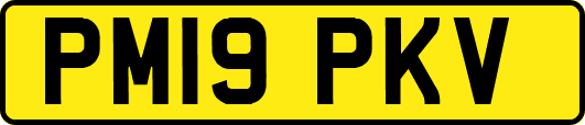 PM19PKV