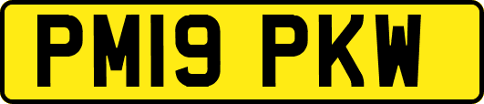 PM19PKW