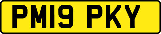 PM19PKY