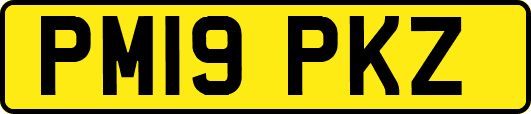 PM19PKZ