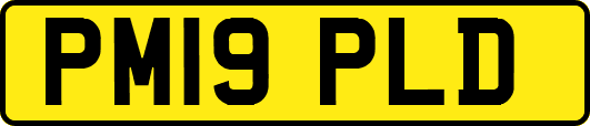 PM19PLD