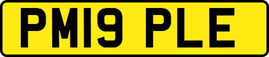 PM19PLE