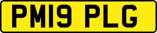 PM19PLG