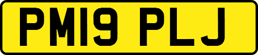 PM19PLJ