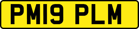 PM19PLM