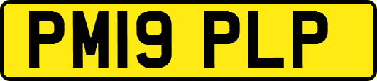 PM19PLP