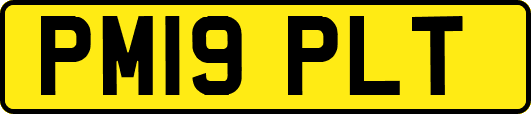 PM19PLT