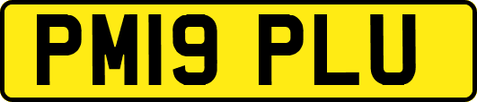 PM19PLU