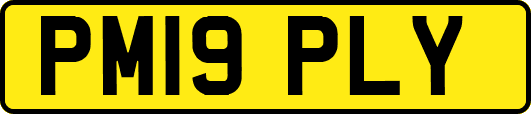 PM19PLY