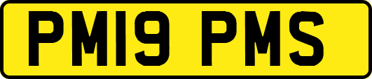 PM19PMS