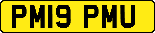 PM19PMU