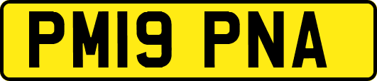 PM19PNA