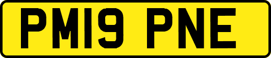 PM19PNE