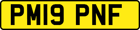 PM19PNF