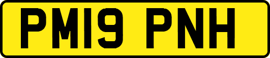 PM19PNH