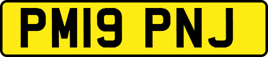 PM19PNJ