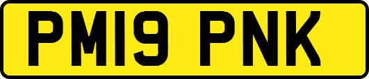 PM19PNK