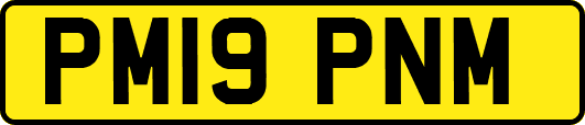 PM19PNM