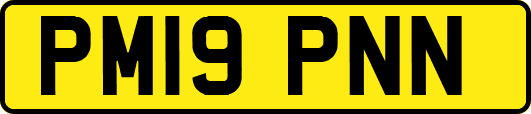 PM19PNN