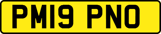 PM19PNO