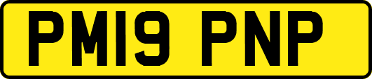 PM19PNP