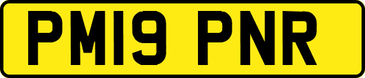 PM19PNR