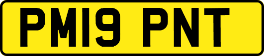 PM19PNT