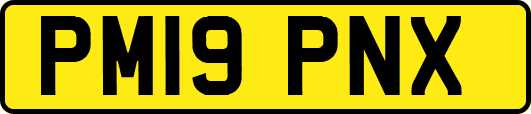 PM19PNX