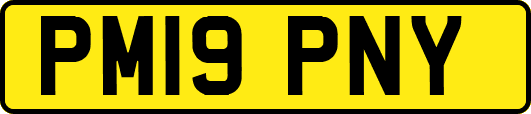 PM19PNY