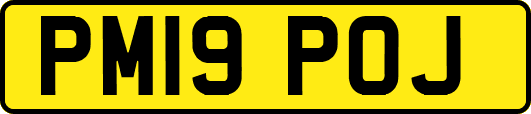 PM19POJ