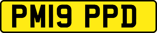 PM19PPD