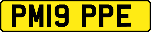 PM19PPE