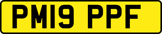 PM19PPF