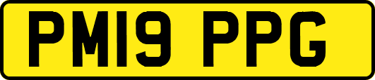 PM19PPG