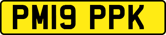 PM19PPK